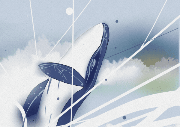 Whale In The Wood Softcover (free postage) - Image 3